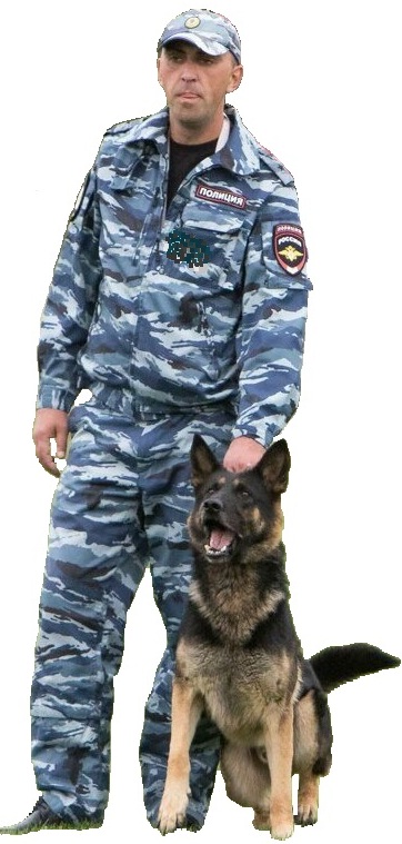 Полиция кинолог